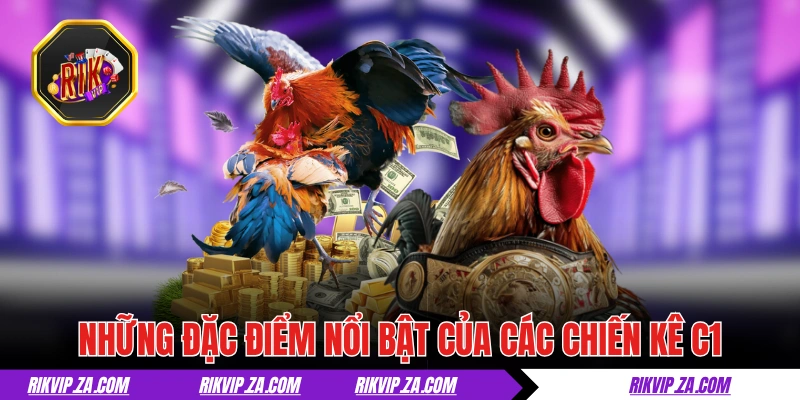 Những đặc điểm nổi bật hàng đầu của các chiến kê C1